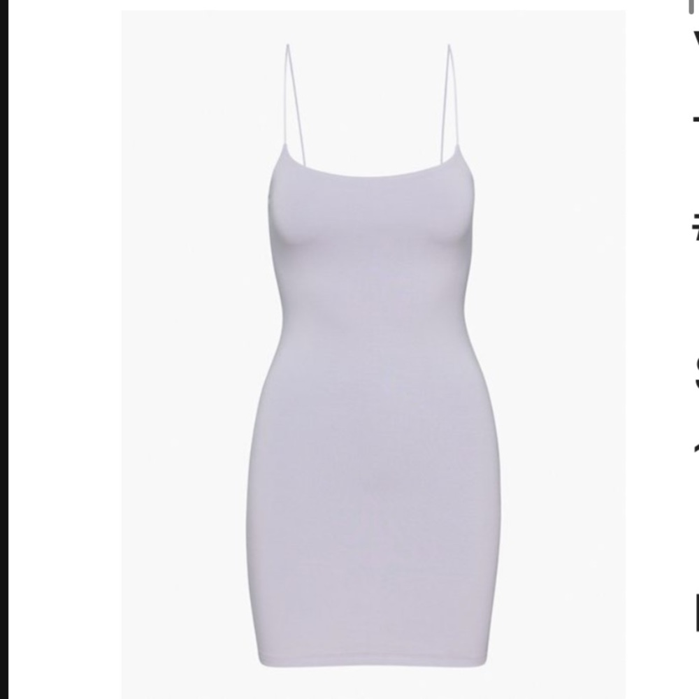 Aritzia dress
